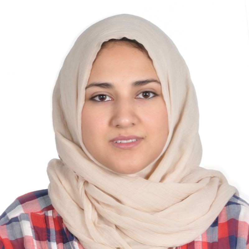  فائقة المهدي مصطفي شرف الدين 