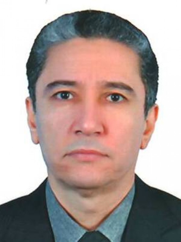 شمس الدين محمد مصطفي القريتلي 