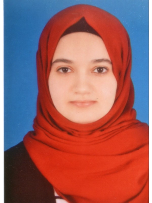 صفاء ابراهيم علي ابراهيم 