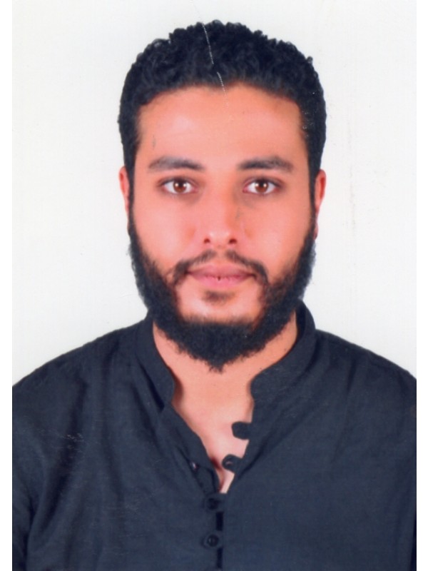 محمد امحمد احمد العلام