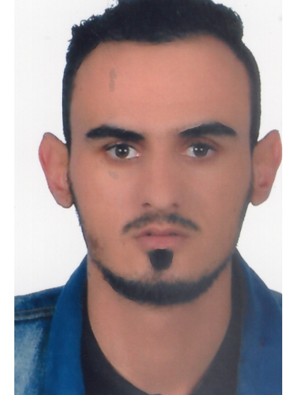 محمد مصطفي محمد طلمون