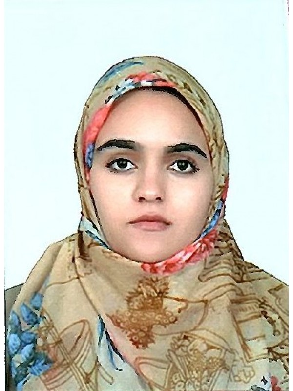 ارميله احموده مادى مادى