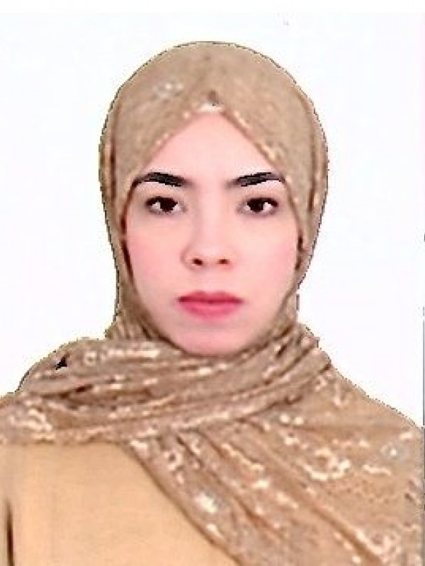 نيروز طارق عمر بن سويسي