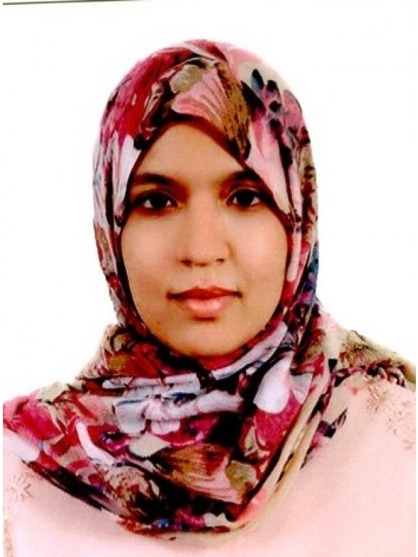 ميسون نجم الدين ابوبكر بن عرفة