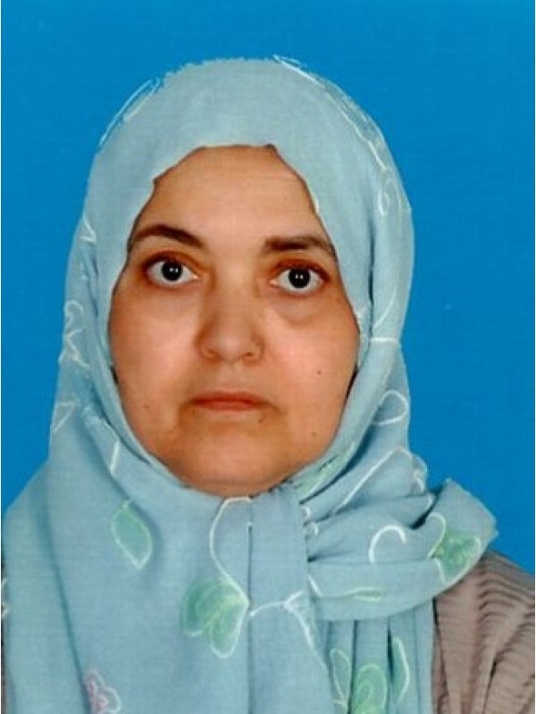 حميدة محمد مصباح الككلى