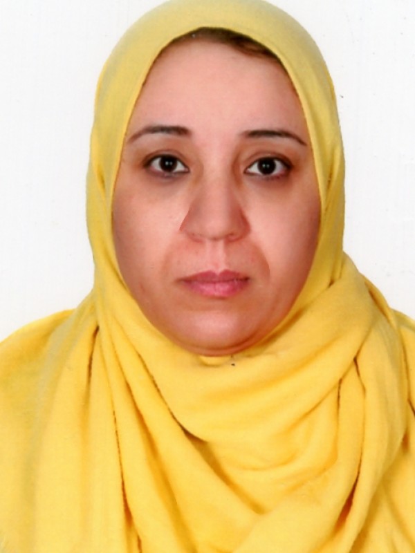 نادية محمد الصادق حسين