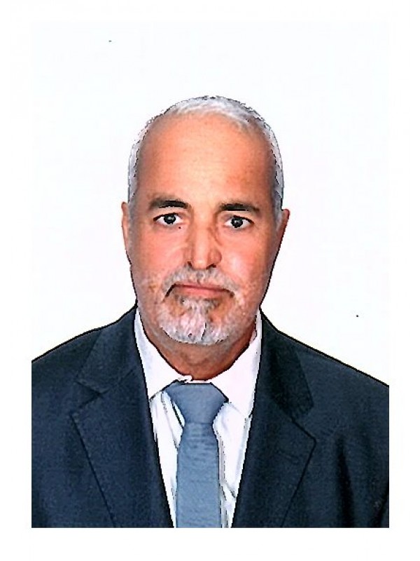 يوسف سعيد عاشور عنانه