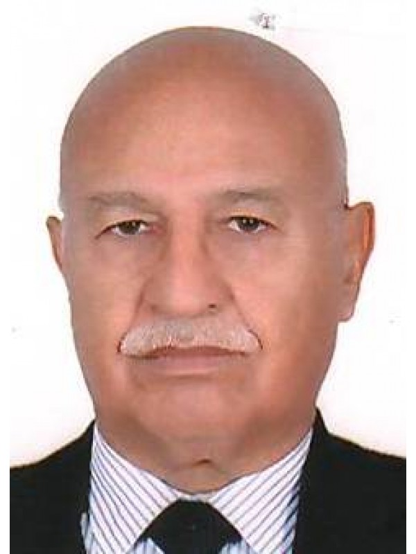 محمود المبروك الناجح الناجح