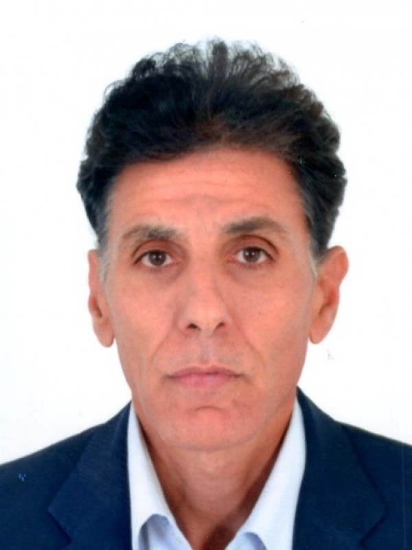 محمد حمادي المبروك سلطان