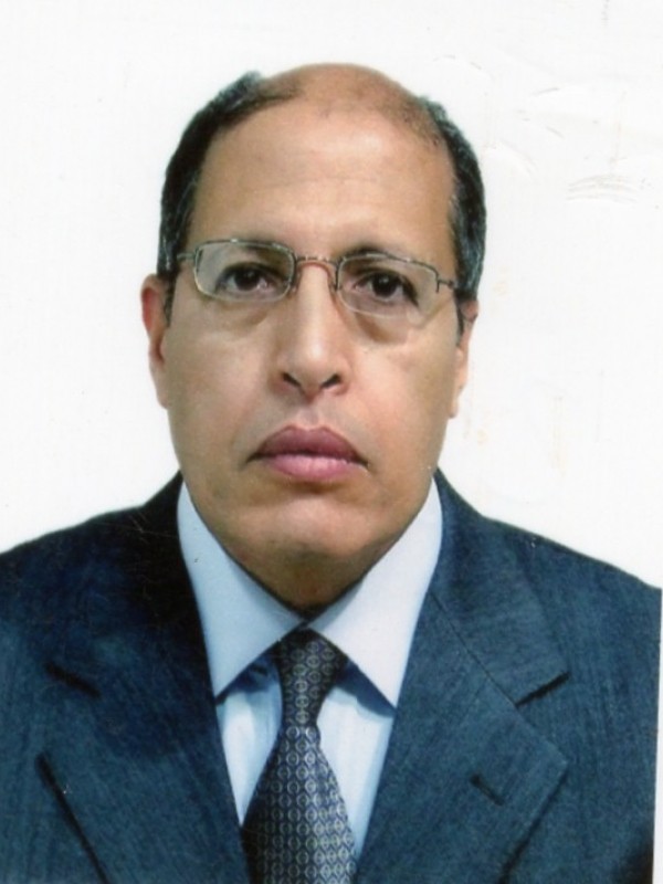 صلاح الدين محمد جمعة