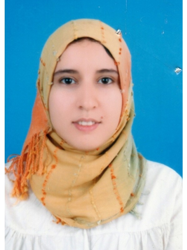 صفاء المهدي مصطفى شرف الدين