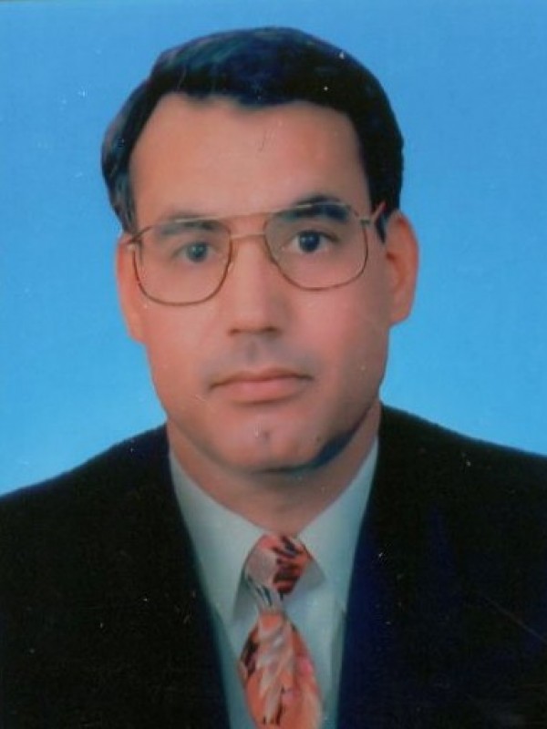 علي أحمد محمد عامر