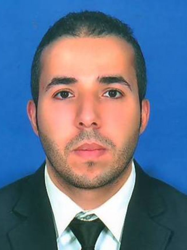 محمد سالم حسن الفيتوري