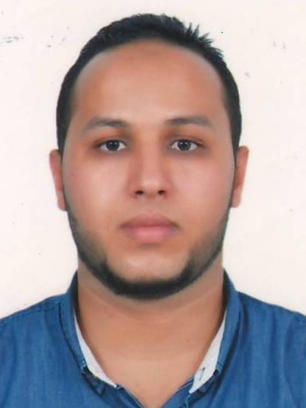 وليد محمد المشاي حسن