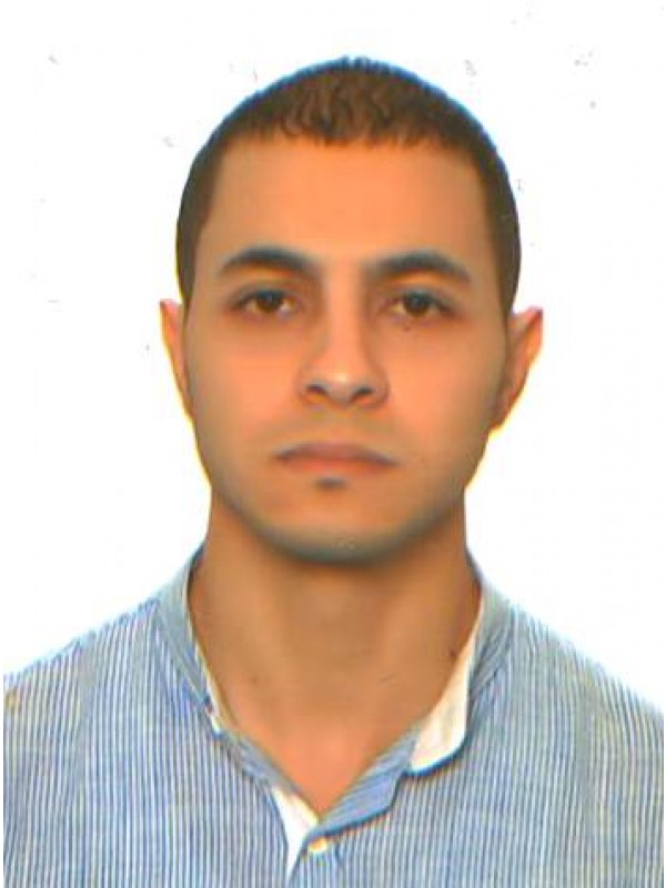 محمد فتحي محمد الشيب 