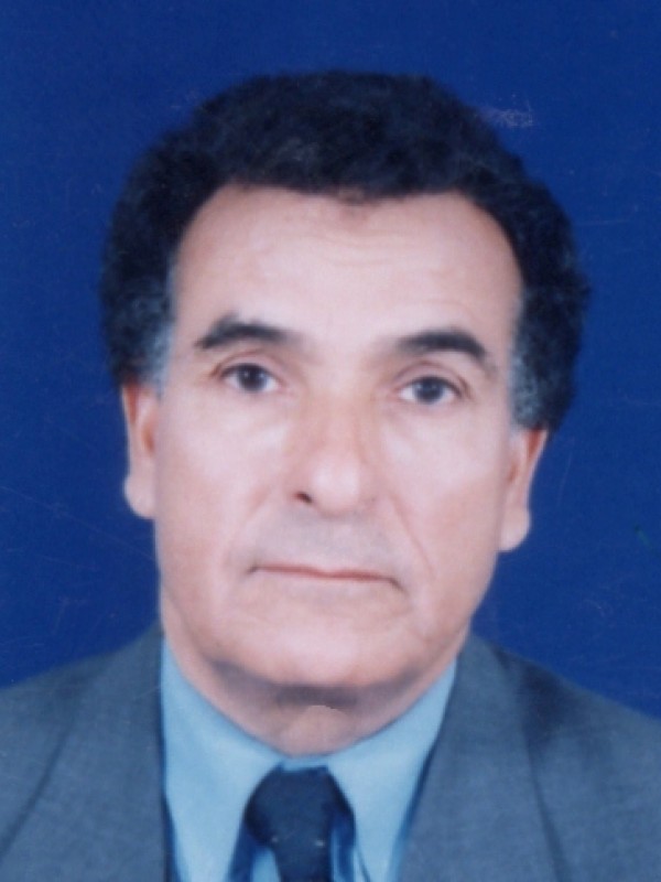 صميدة حسن صميدة