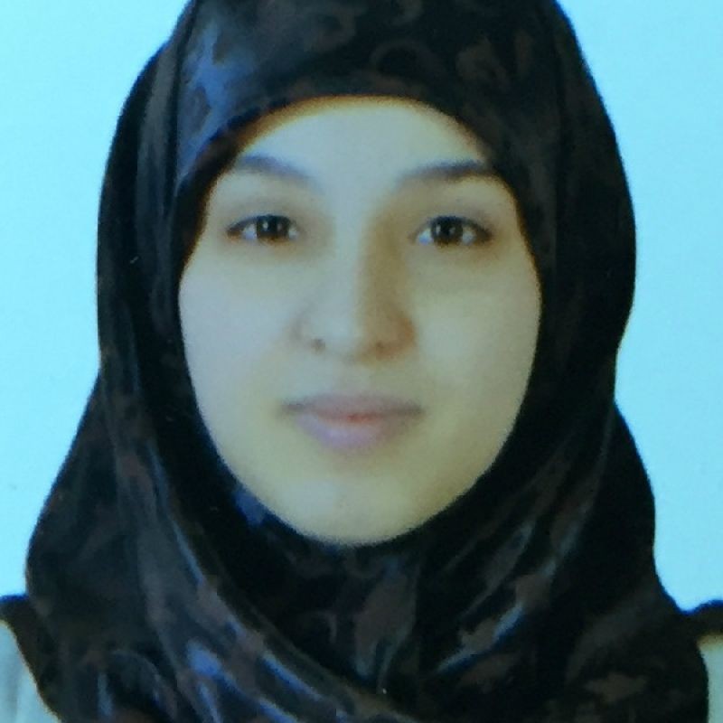 هبه محمد عبد الحفيظ العربي