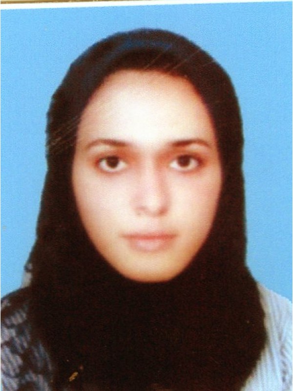 مني نصرالدين محمد الشيباني